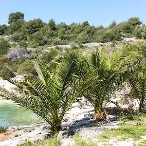 Tatinja , Trogir Kroatien